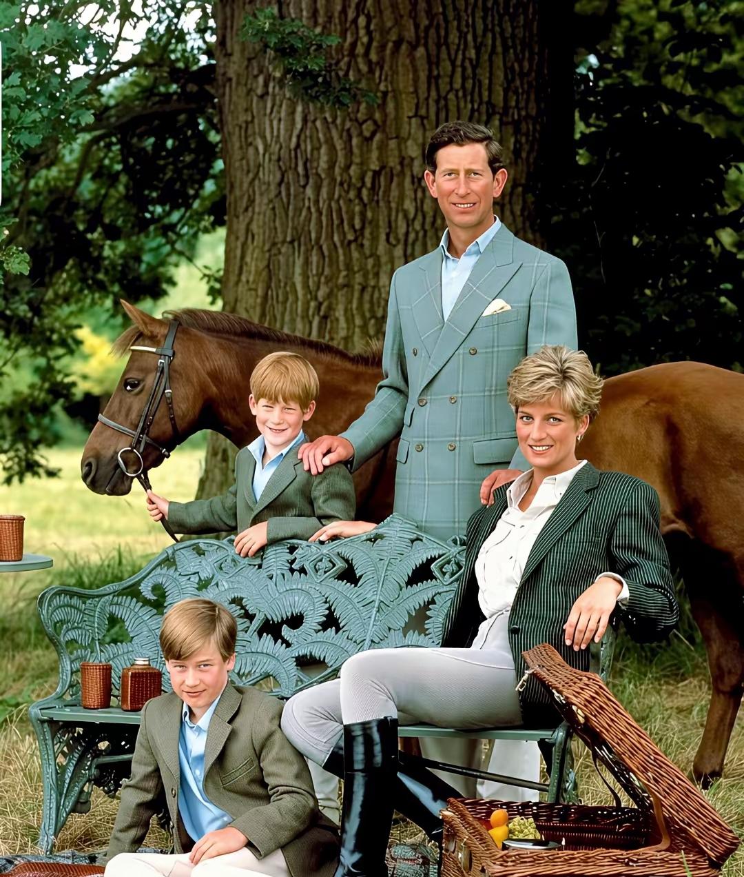 如若没有卡米拉，这一家子应该也挺幸福的吧！两个可爱的儿子，还有一个人气口碑高的