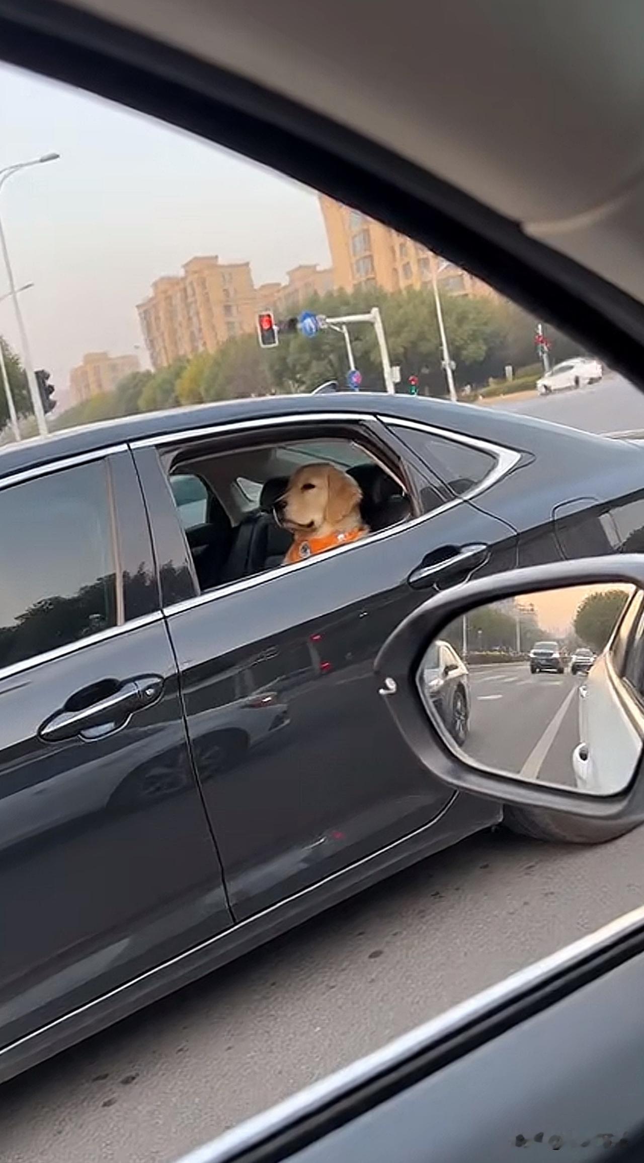 我说，它到底啥意思？街拍