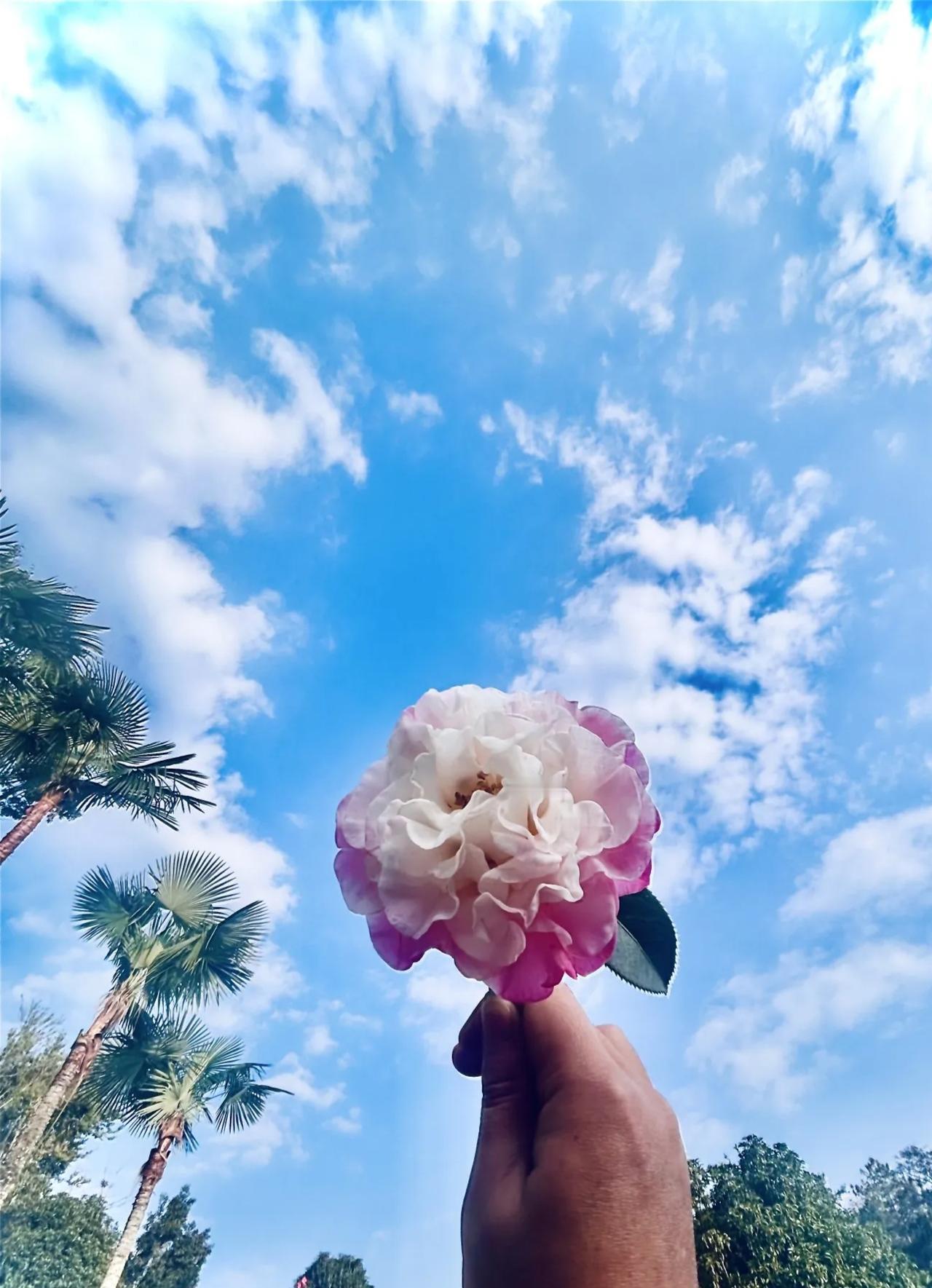 故地重游了​​还是新鲜感满满​我🈶去献花在保山营地休闲时就​特意又看了一