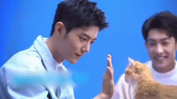 每次看都哈特软软