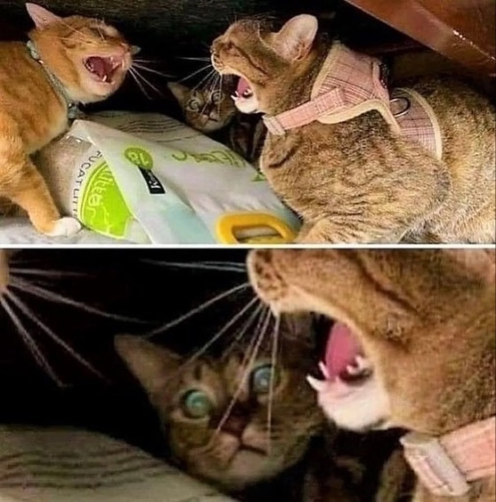 看到爸妈吵架的我​​​