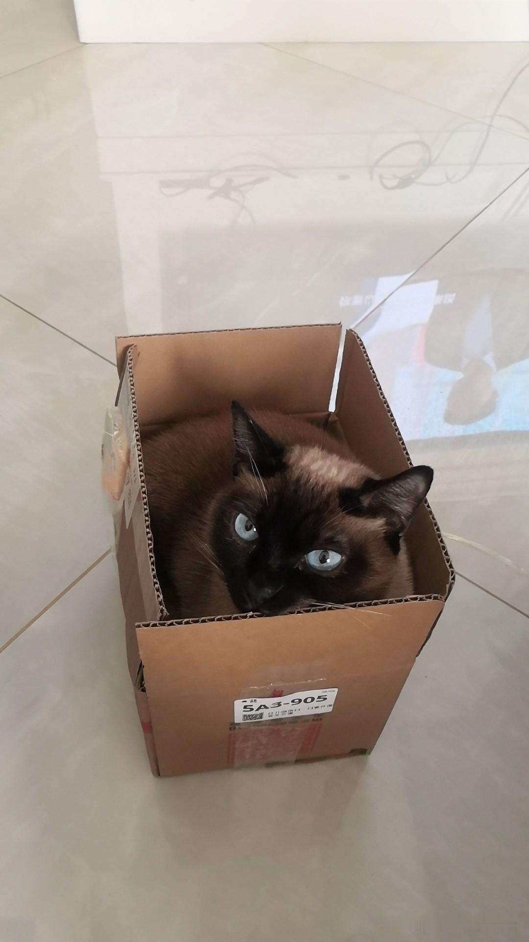 西红柿炒鸡蛋,你们放盐还是放糖?我们是放盐，我同事她家儿子吃蛋炒饭放糖[捂脸哭]能