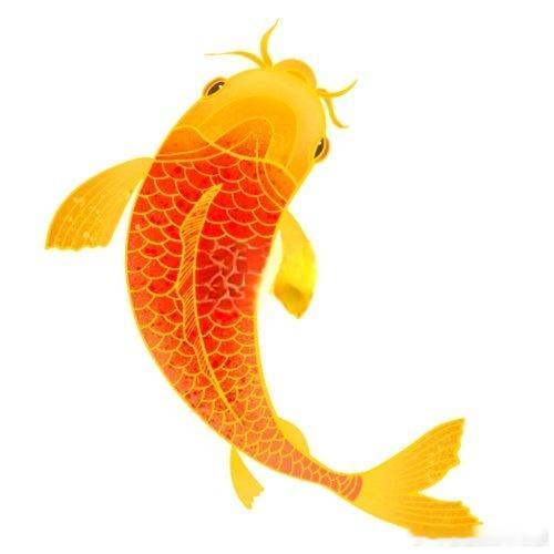 转走这只大锦鲤，愿你好运连连财气多！