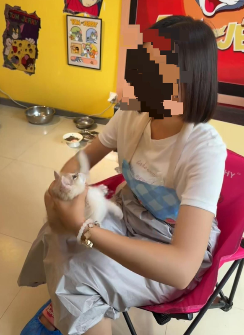 猫咖店虐猫的女子后续