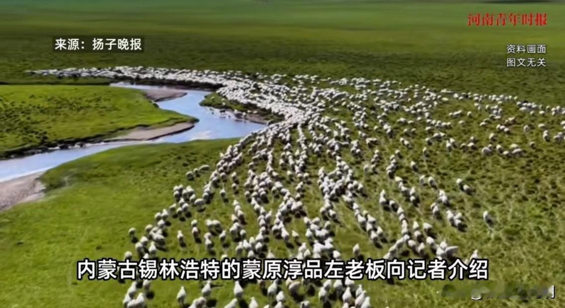 已筛选出2对夫妻高薪放羊网上一则招聘信息引起网友热议，这份高薪工作你会感兴趣