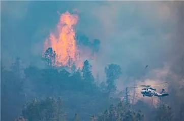 揪心！加州火山还记得去年的加州火山吗？今年又来了！美加州北部山火蔓延，过火