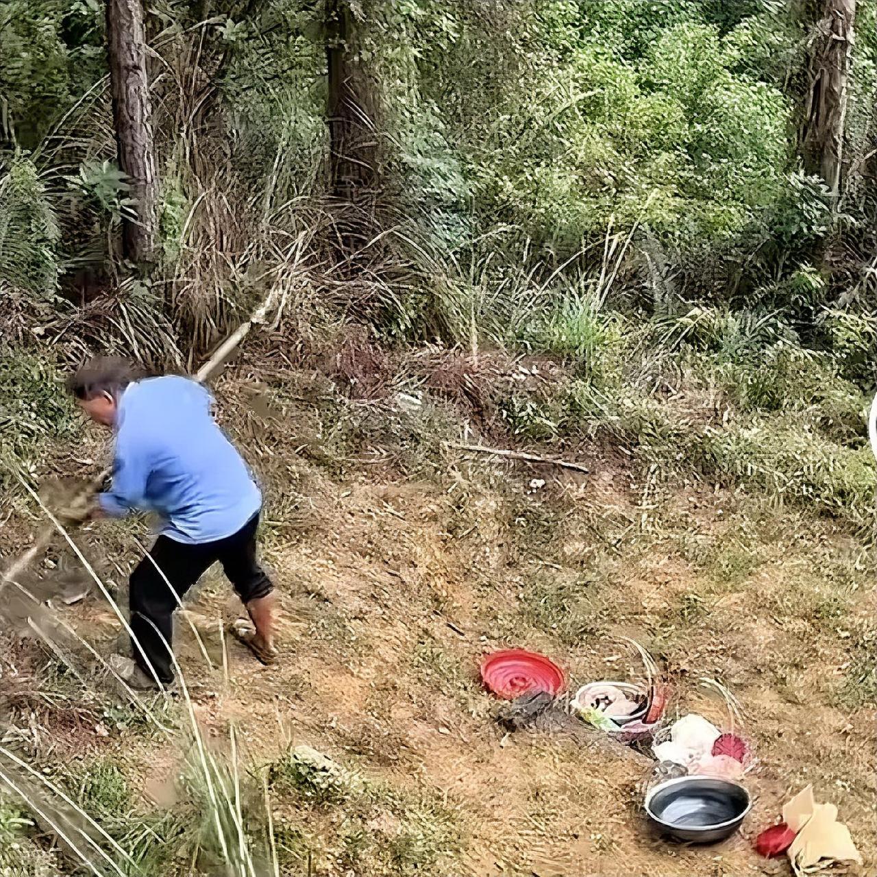 现在越来越多的单身贵族，未来成为五保户真的好吗？很多人，心中早有觉悟，一个