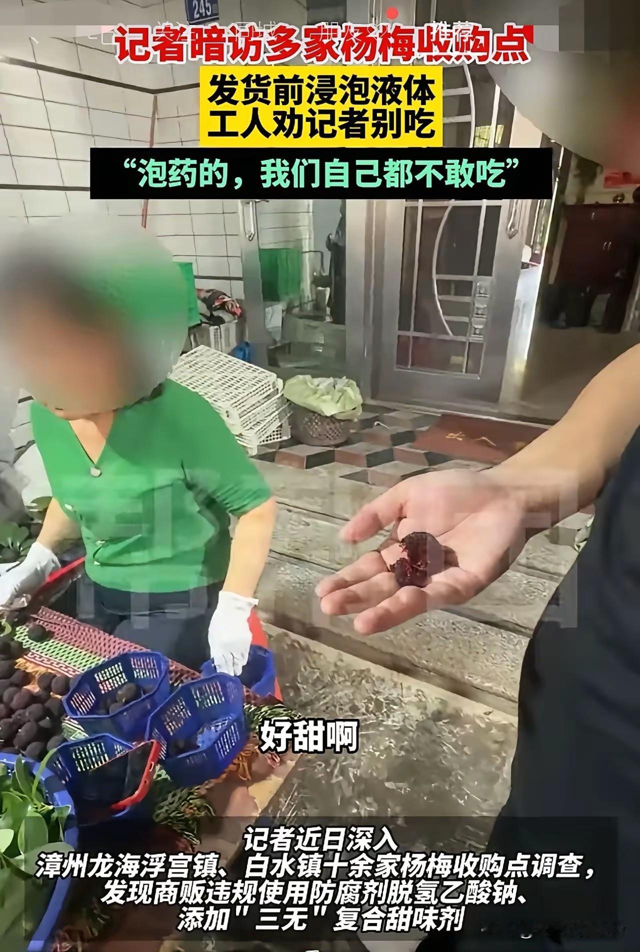 一颗坏杨梅，坑苦了全村老实人舅舅守着杨梅园三十年，每年摘果时指甲缝里都是紫