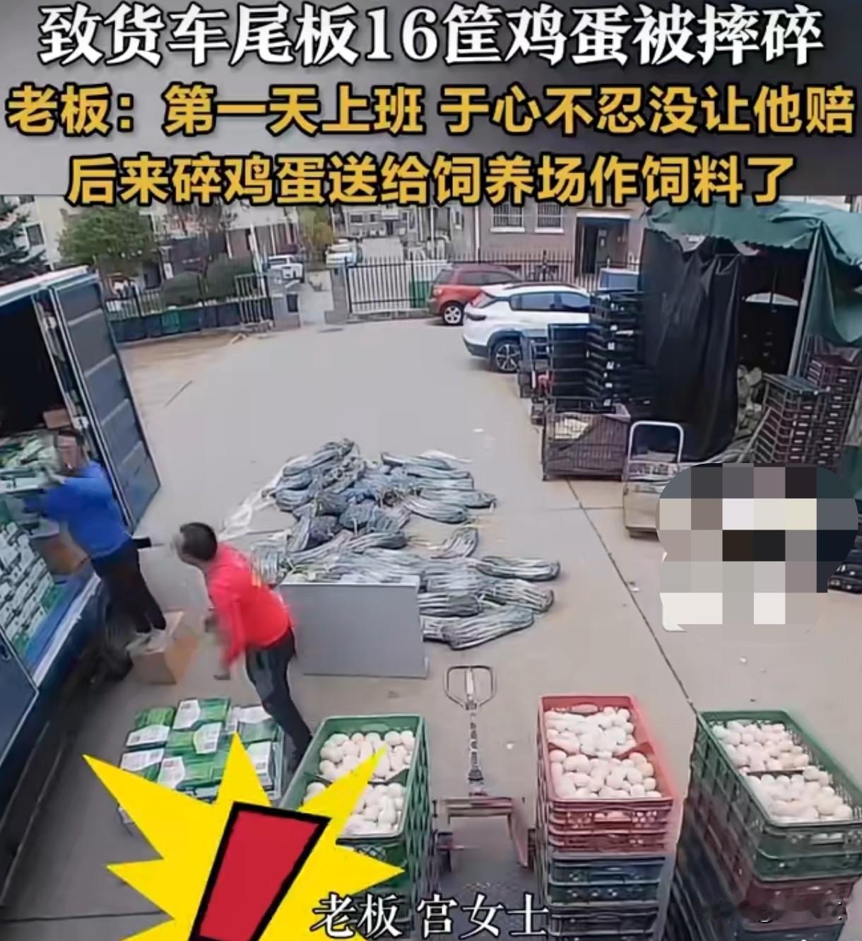 男子上班首日摔碎540斤鸡蛋！老板一句话暖哭：不赔，第一天上班不容易！山东