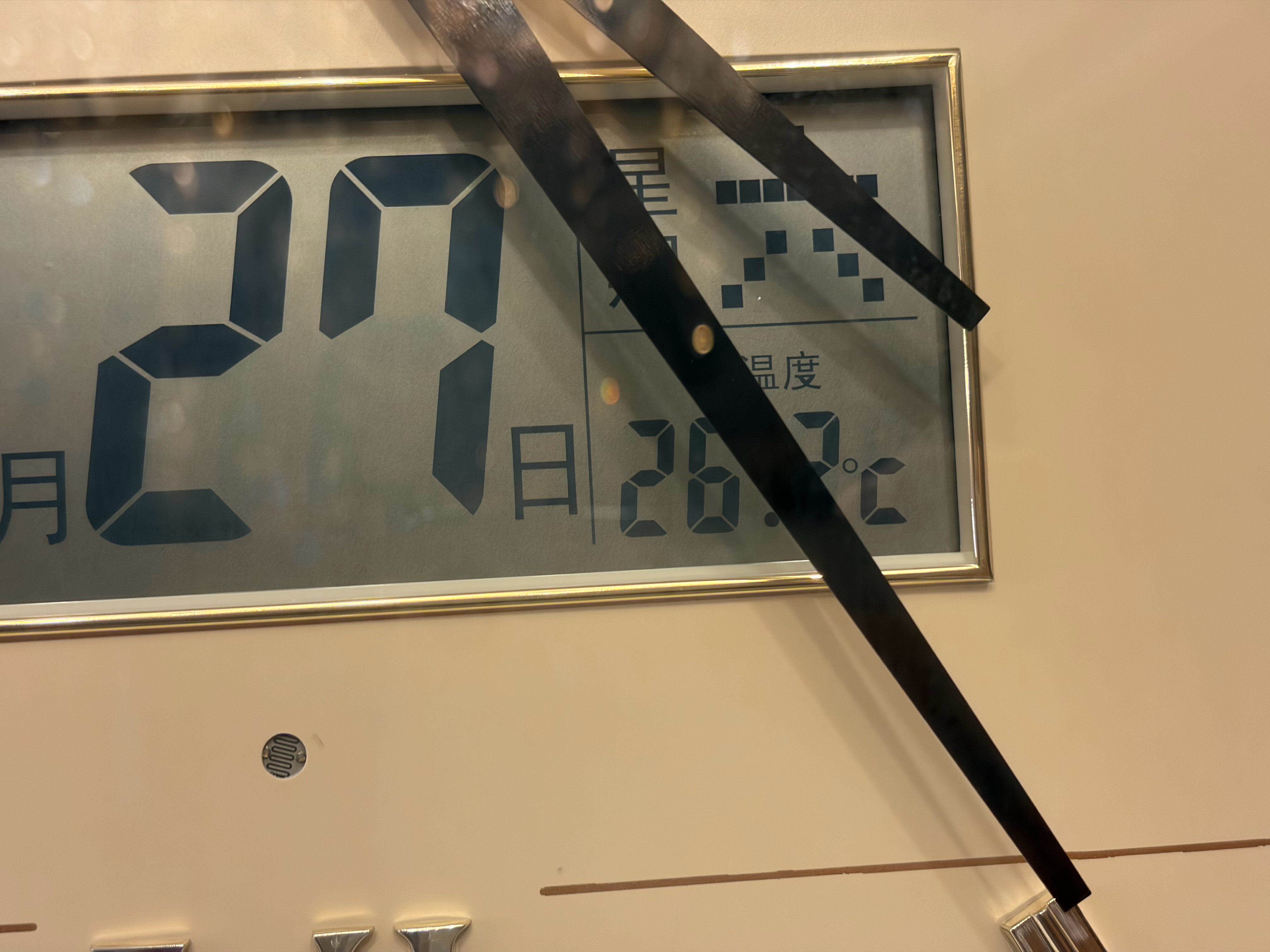 我爸妈家十一楼，地暖又特别足，室内26度，得穿短袖短裤。家里甚至可以种三角梅