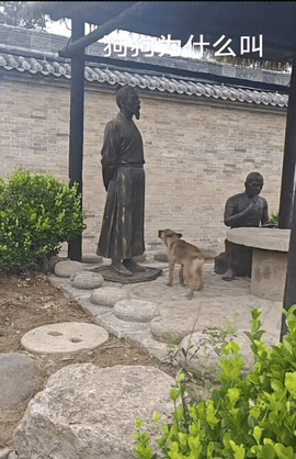狗界未解之谜：为什么狗子对雕像的仇恨值满格在线？