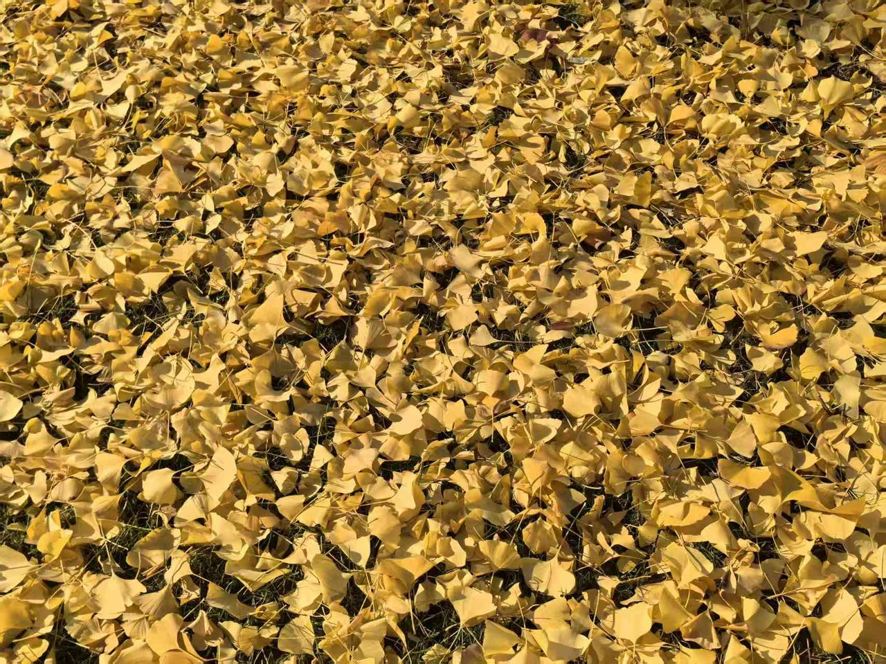 底层人之间的盘剥，让你意想不到！家里老人住院，请了个护工。我支付护工每天20