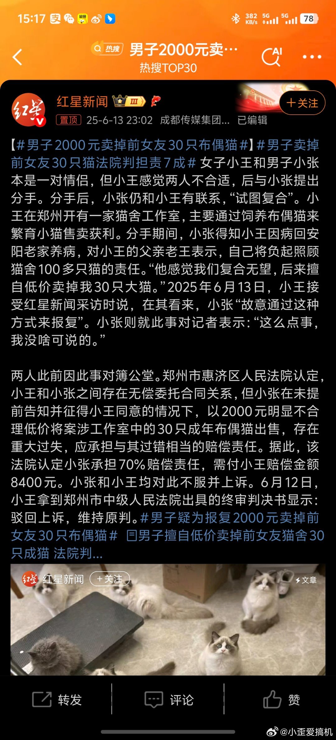 男子2000元卖掉前女友30只布偶猫找个男的照顾你真的很好笑​​​