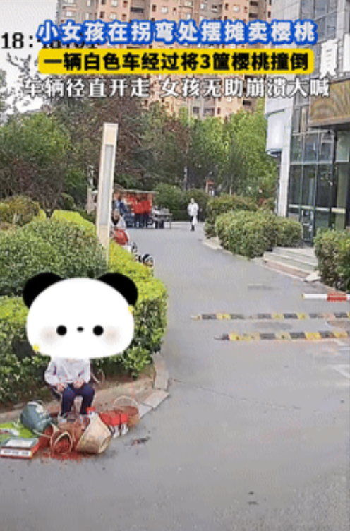 5月17日，山东一小女孩在路边摆摊买樱桃，没想到，有辆汽车在拐弯的时候，将三筐樱