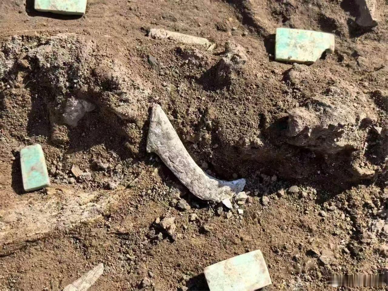 2025全国十大考古新发现十大考古参评项目郑家沟遗址河北宣化洋河南岸的山间，分