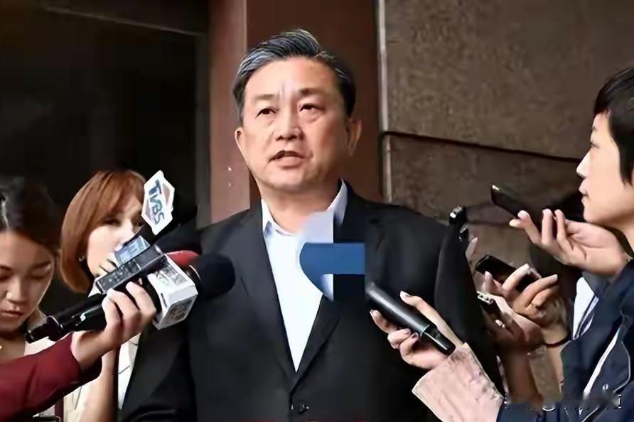 民进党立委王定宇今（4日)妄称，前两天对岸的官媒包括环球时报才公开对我们下指导棋