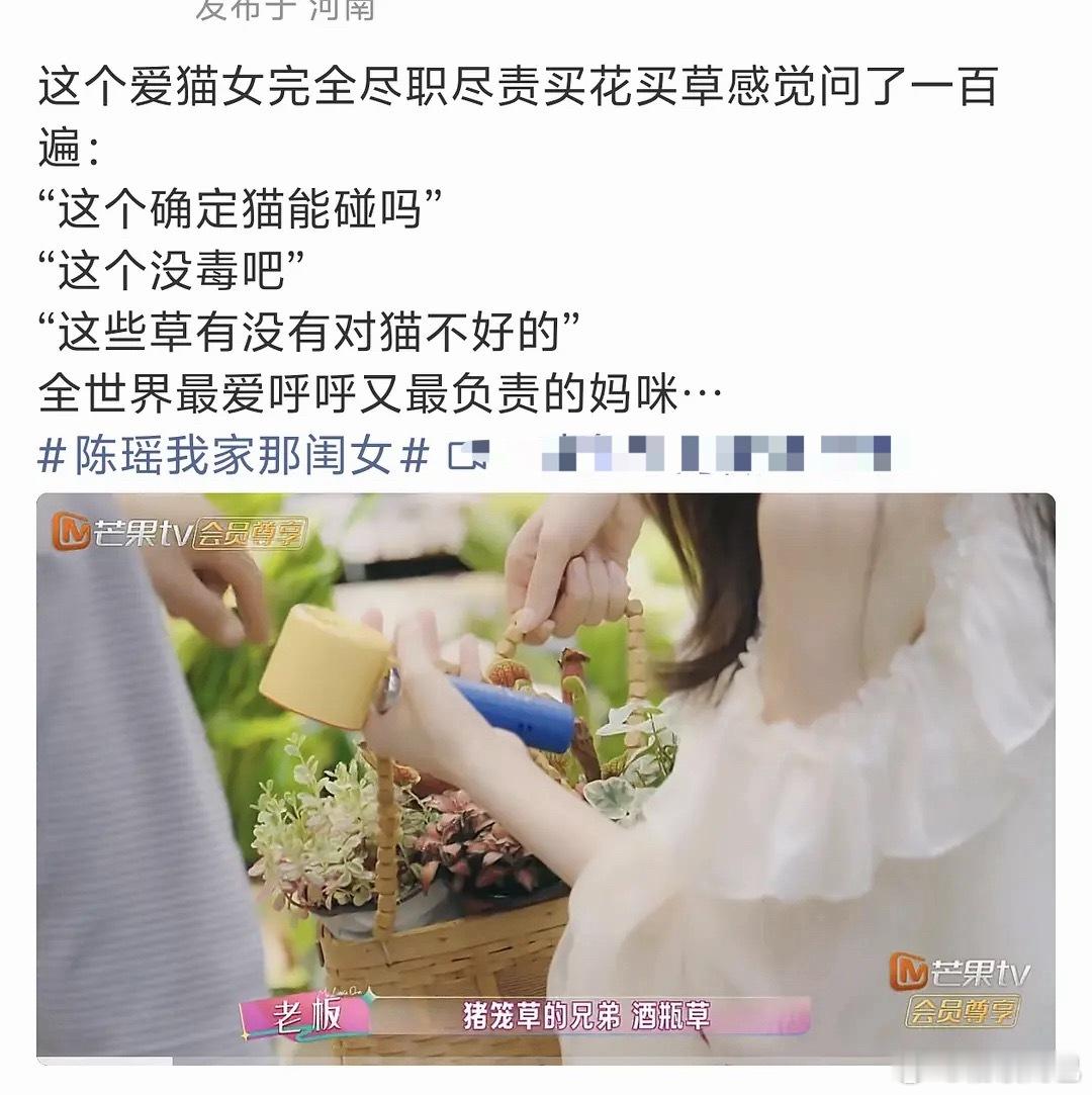 前阵子陈瑶养猫养花被骂的不轻结果实际上人家每买一株都会问店员猫能不能碰…​​​