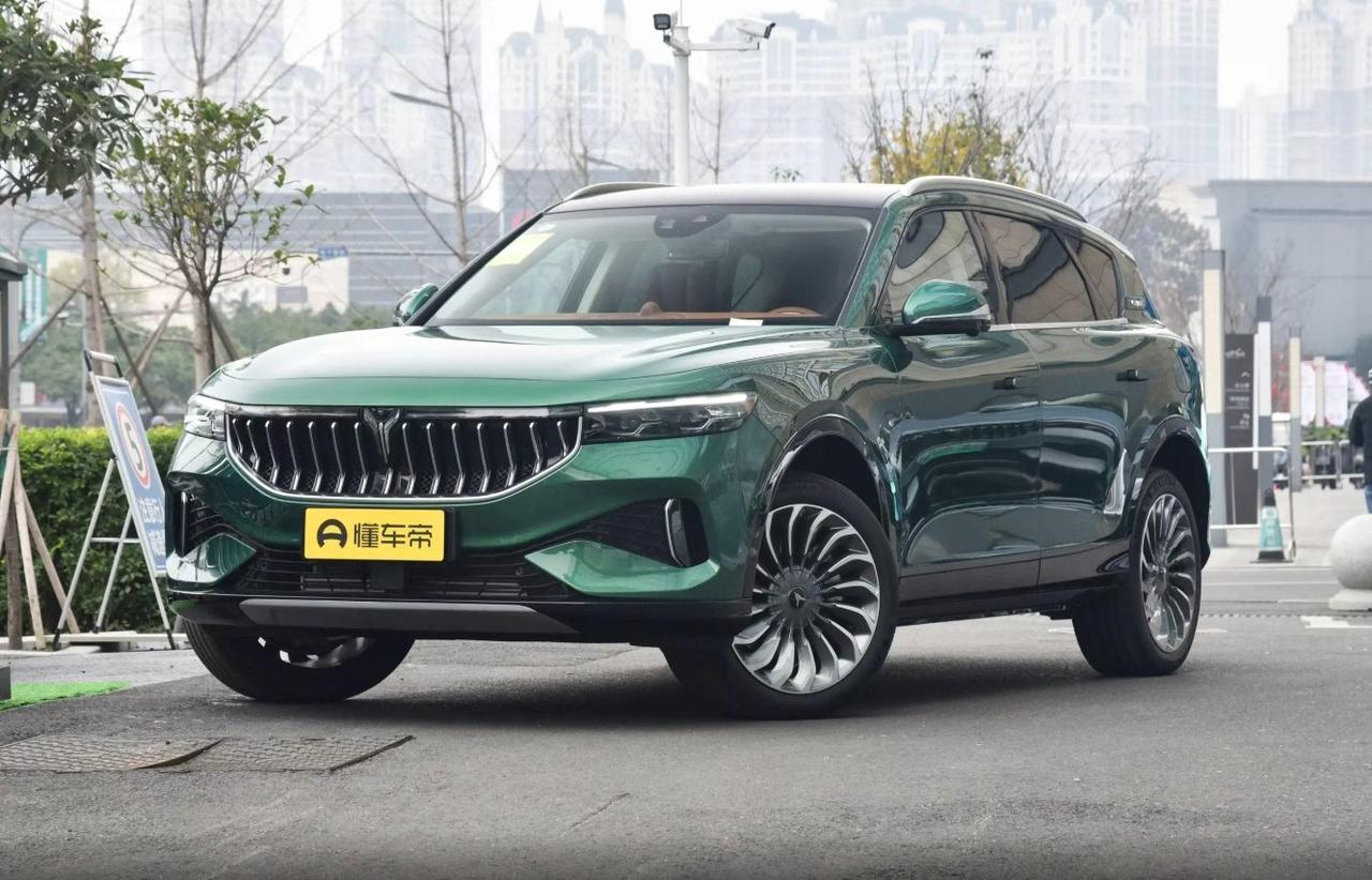 “现在10来万能拿下一台中大型SUV，还是带空气悬架、四驱、零百4秒多的岚图FR