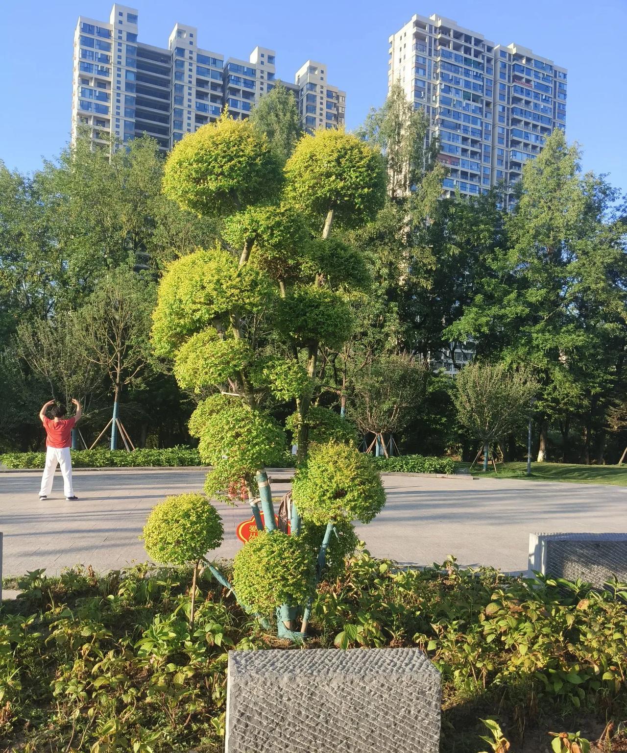 有时候觉得自己挺幸运的。初中升高中时，录取分数线是590分，而我只考了565分
