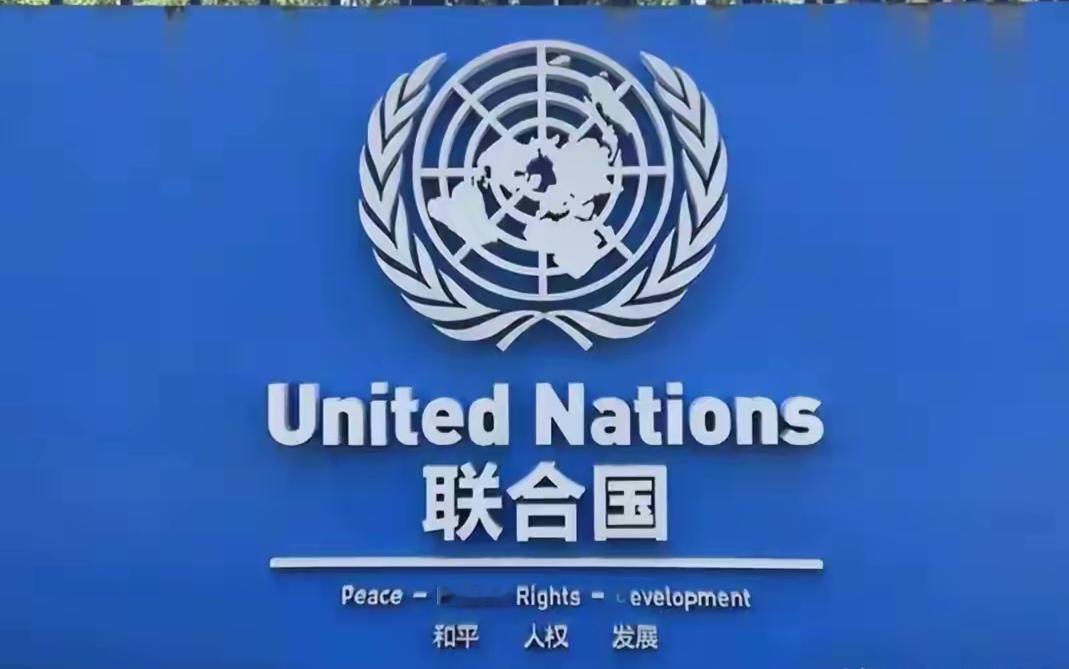 最新消息！联合国郑重宣布了联合国人权专家小组今天（当地时间11月6）发布官