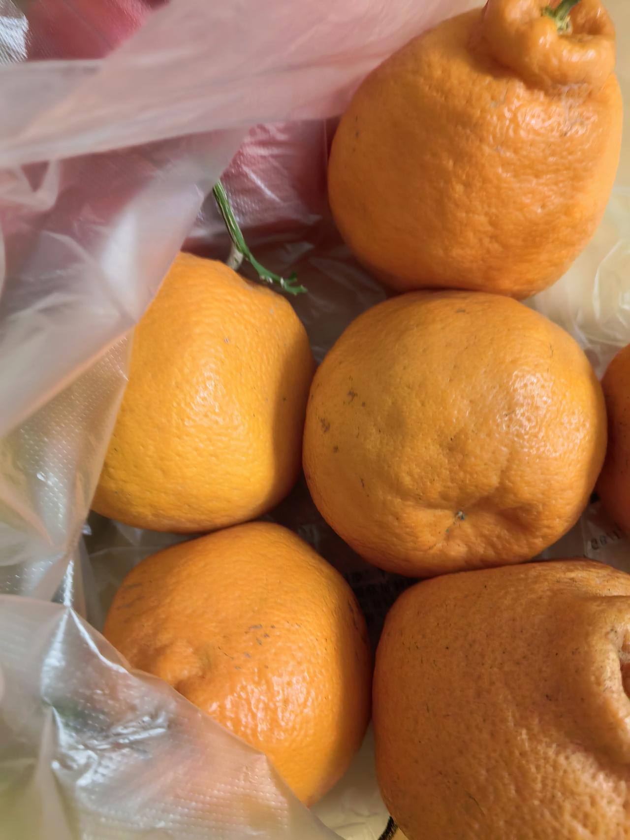 刚刚打着给儿子买好吃好喝的幌子，将他骗了出来，没办法，青春期特别不好搞整天