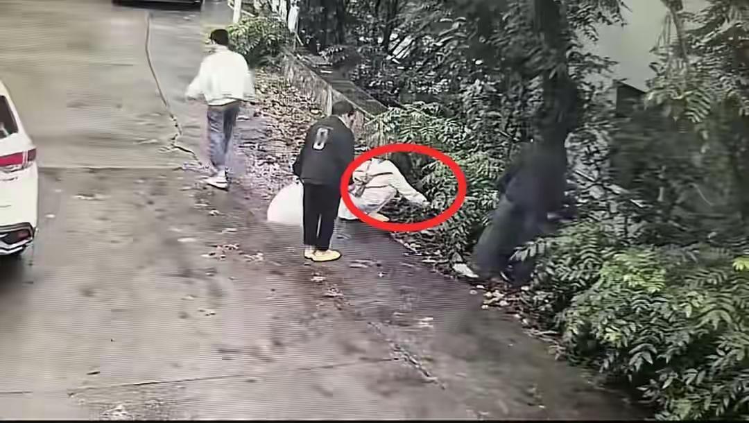 江苏连云港花果山，女游客捡路边1个板栗壳（里面没有板栗，已经买票），被民宿老板娘