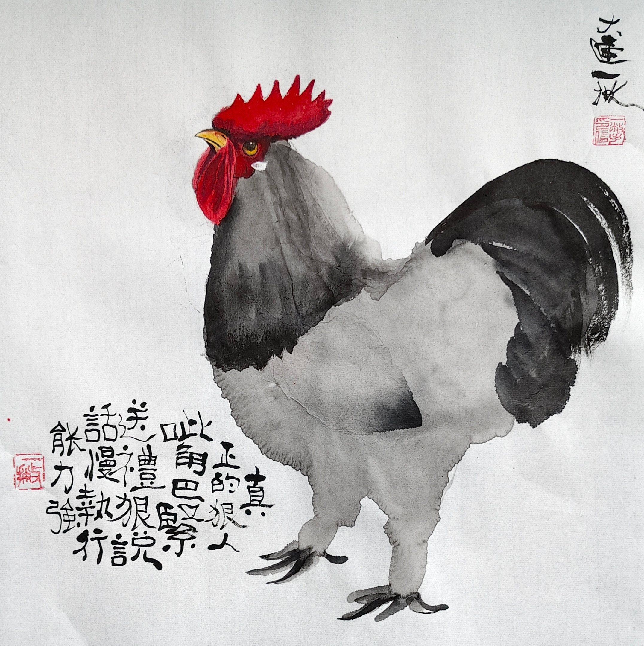 一撇的漫画大公鸡