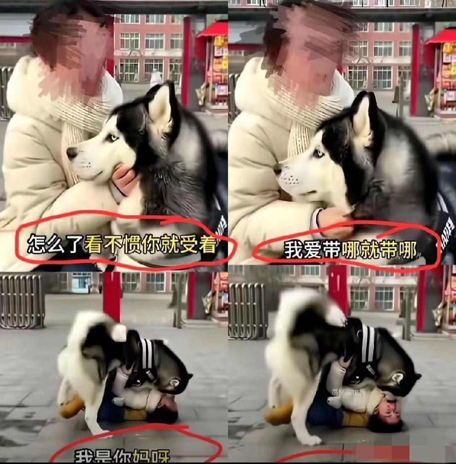 今天刷到一个事儿，直接把我看笑了。​一个女的满嘴是血，被条牛犊子般的大狗死死咬