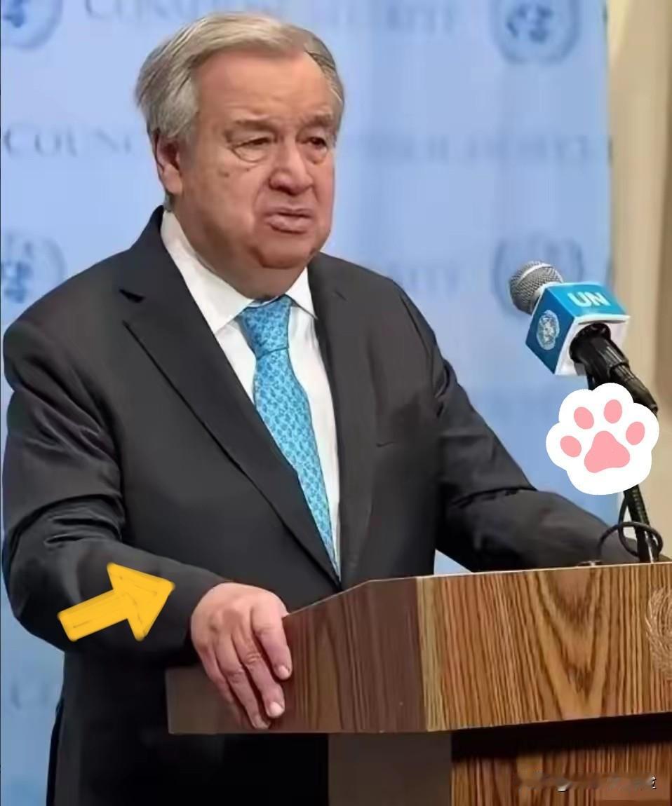 你知道最讽刺的是什么吗？​2月12号那天，联合国大会投票，117比2。117个