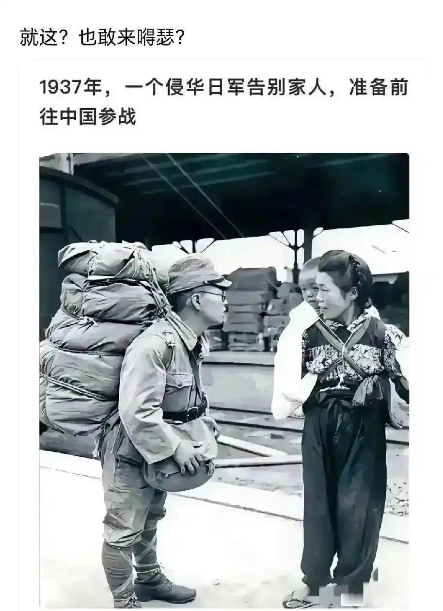 不懂就问小日子真长这样吗？