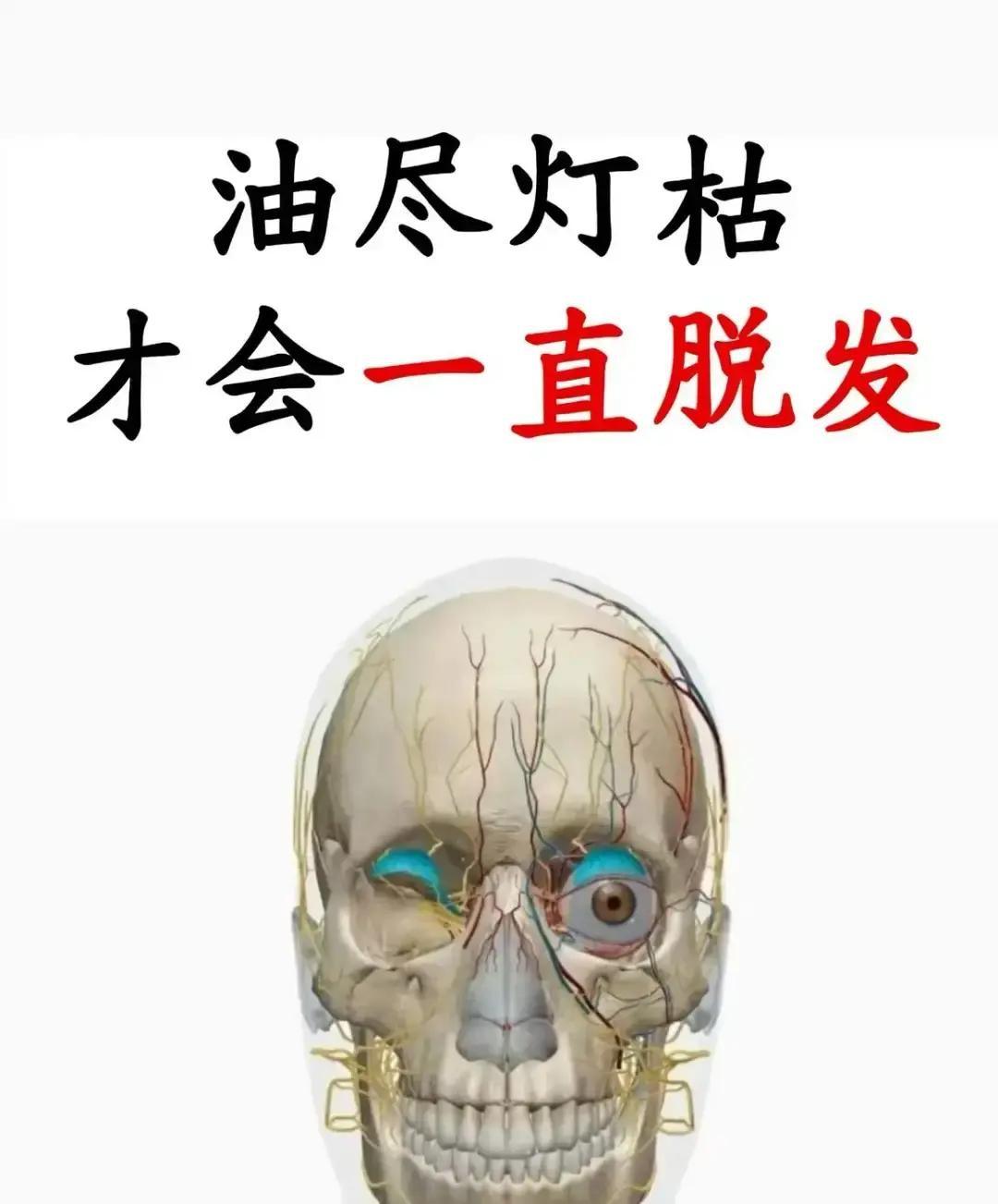 王剃头匠拿侧柏叶何首乌生姜捣成泥，让脱发小伙睡前糊头顶，说仨月能长毛。三十年前