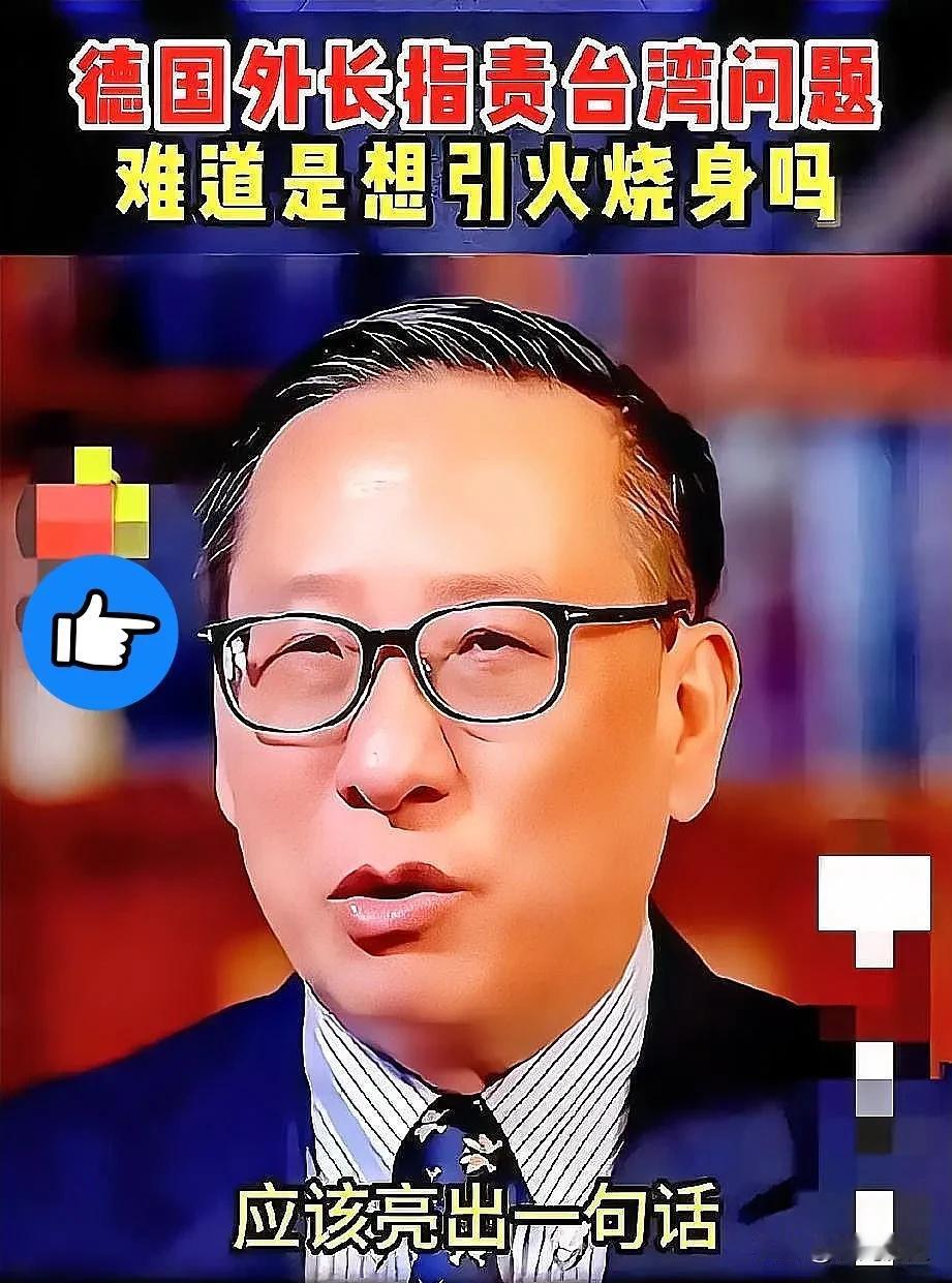 高志凯教授那句话，我能琢磨一天。“你们一个二战战败国，有什么资格，在这里跟一个