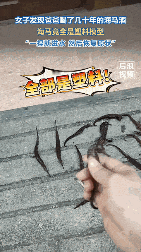 “离了个大谱！”12月20日，广西，一女子查看父亲的药酒时，越看越感觉里面的海马