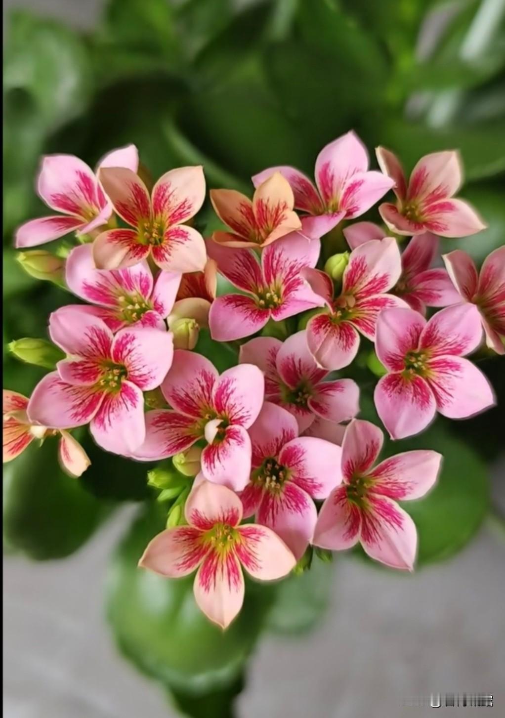 兴趣最重要的是要根据孩子的喜好来进行选择和培养，家长不要打着为孩子好的旗号来替孩