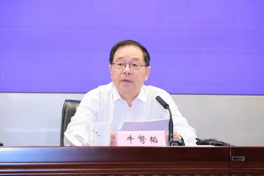 违规编印个人文集, 厅官牛弩韬被“双开”