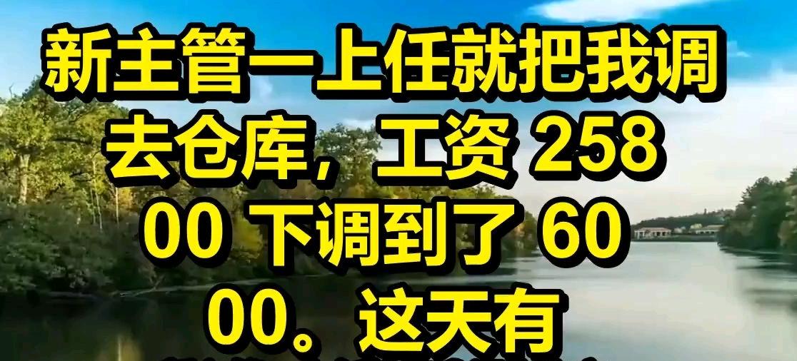 新主管一上任就把我调去了仓库，工资从25800下调到了6000。这天有个客