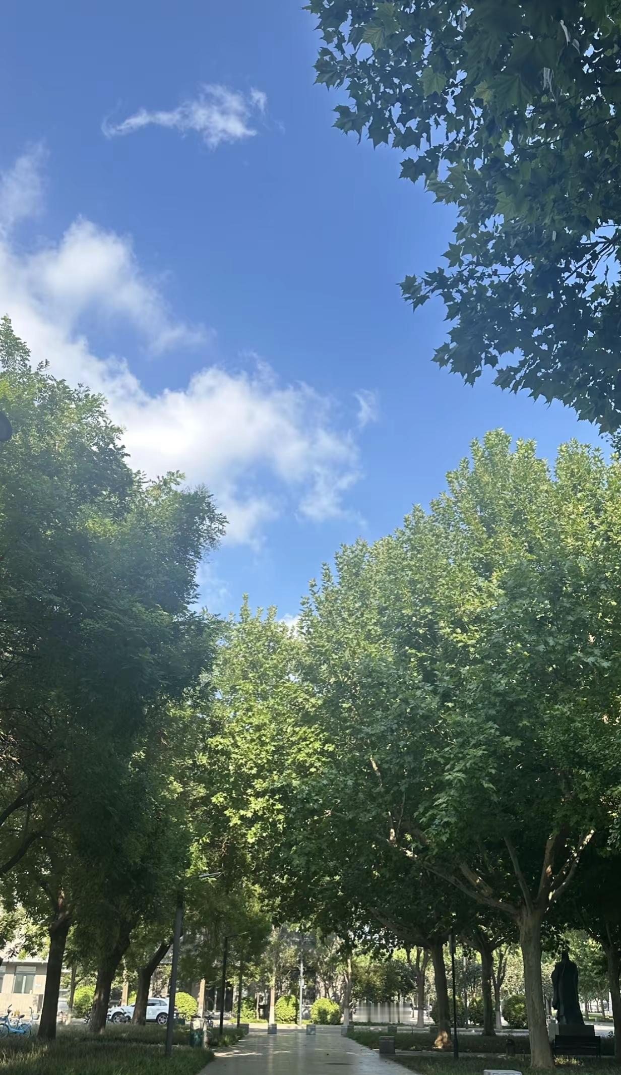 这里是河北师大，不是浙大哦打卡河北师范大学～我的足迹地图大学风景美如画