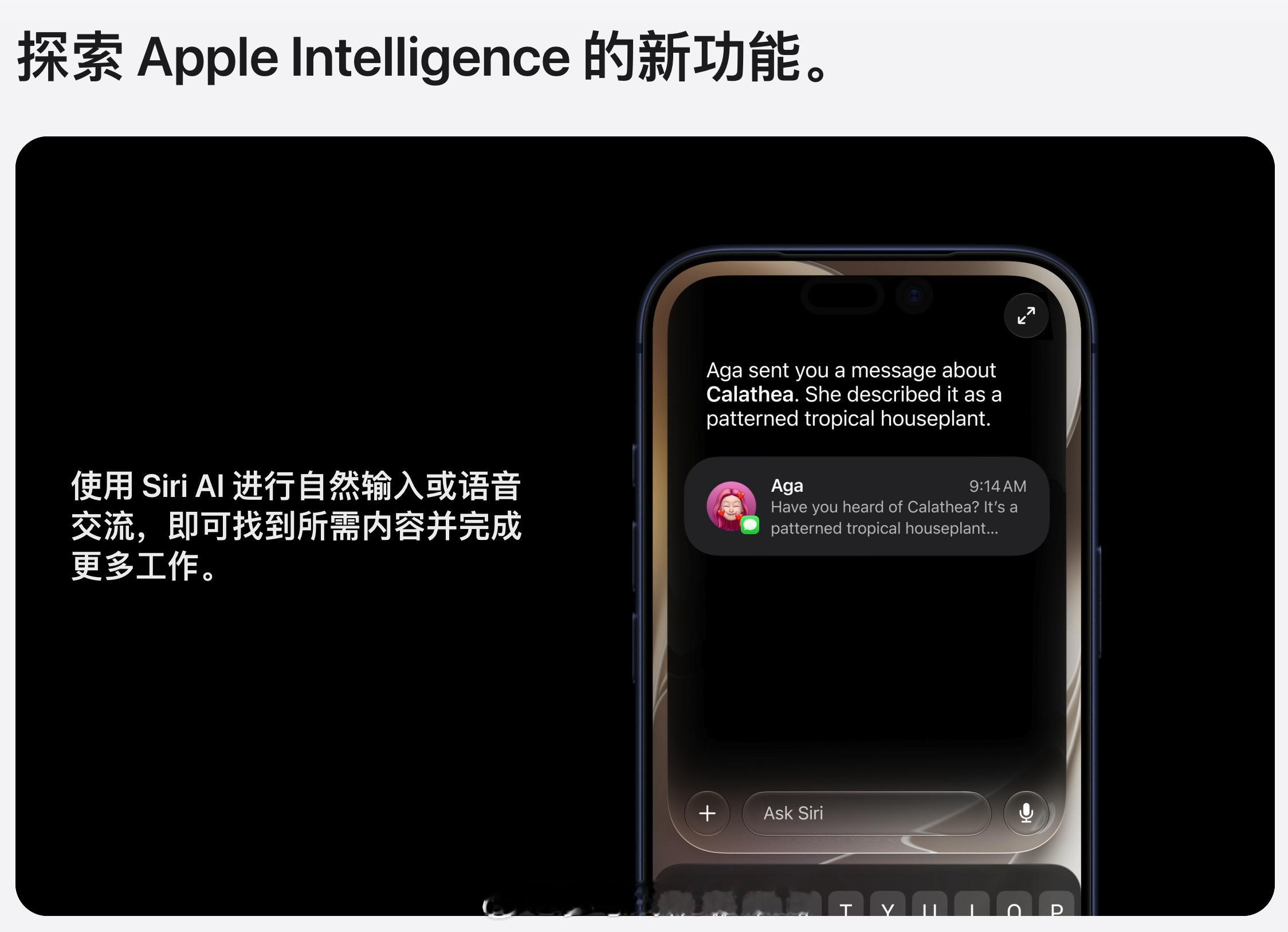 苹果AI国行版已过审等了两年，国行iPhone终于要用上AppleIn