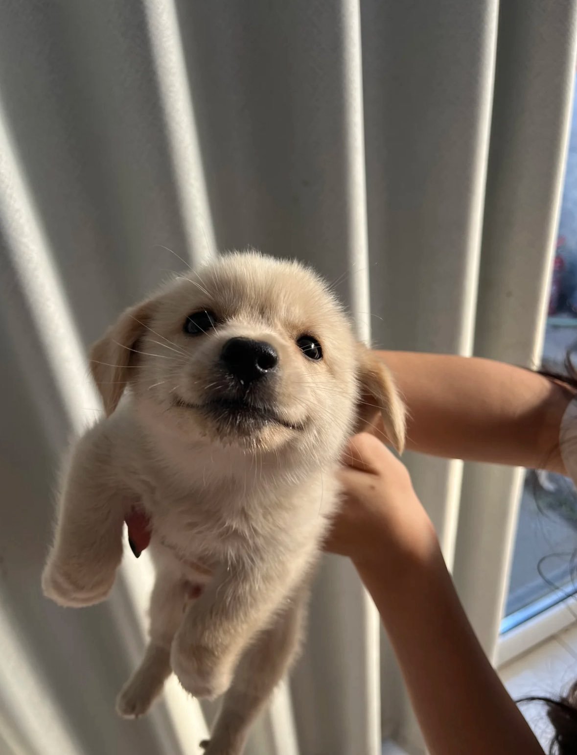 ：)​​​
