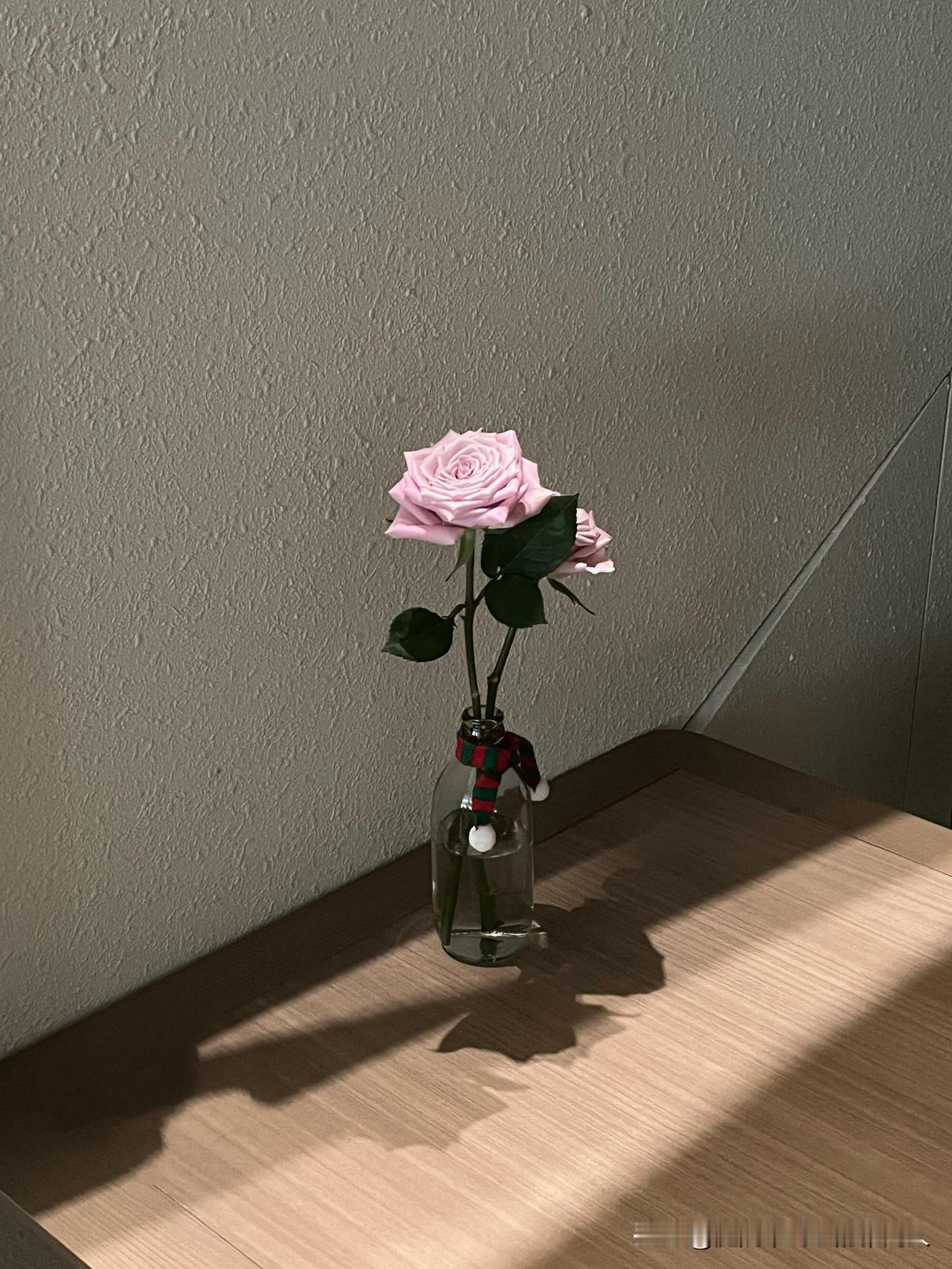 活了大半辈子，终于实实在在明白一个道理：钱这东西，真的太重要了。它不是万能的，但