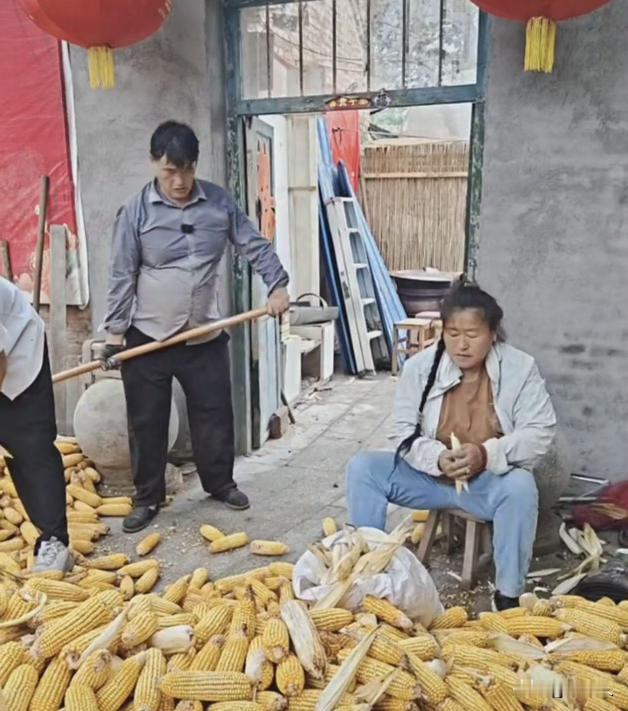 朱之文这一点做的非常好，始终忘不了自己是农民。没有演出的时候，就帮家里干农活。非