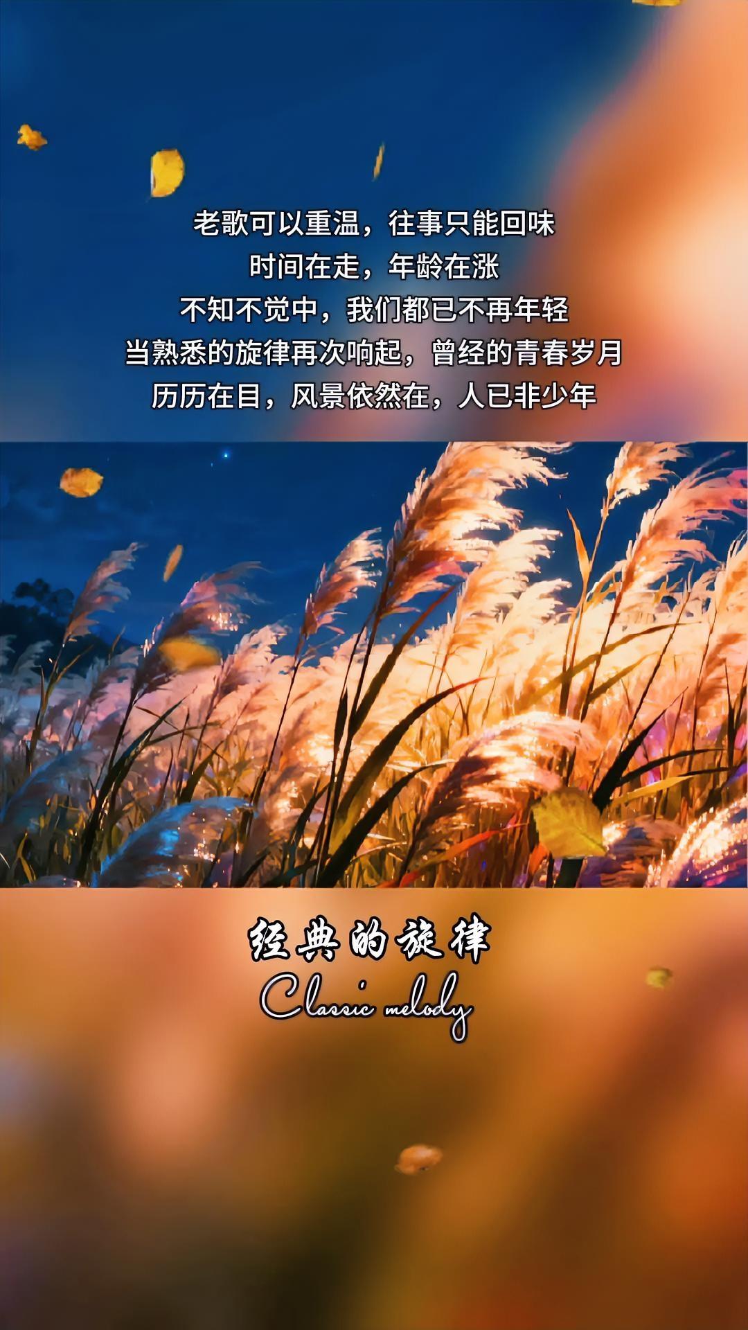 人生如四季,你在哪一季?你的人生在自己心里！时光缓缓，岁月漫漫，在自己喜欢