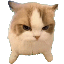 猫meme透明底表情包​​​