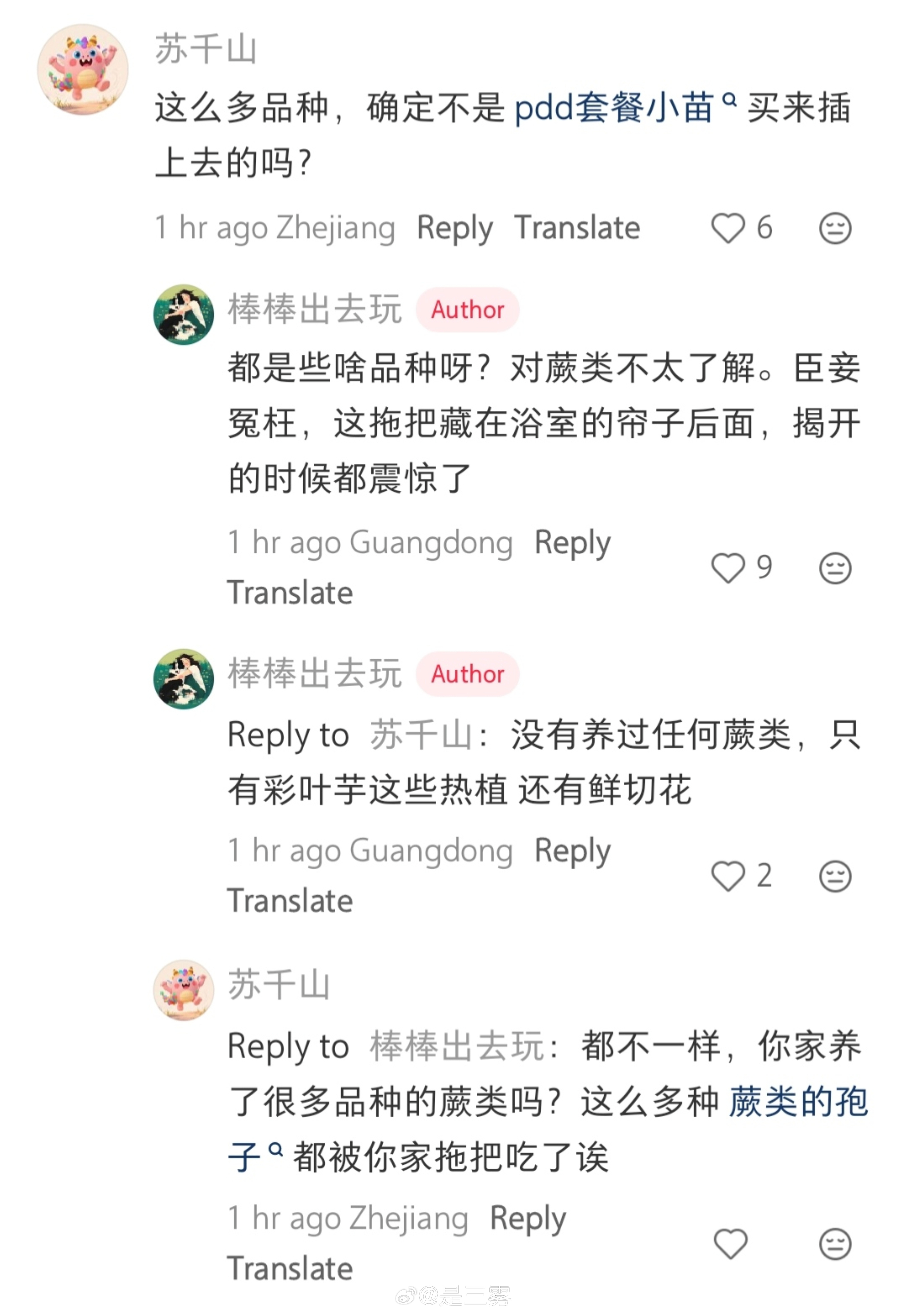 拖把吃孢子……这集神了🌚是说今年南方的湿热程度赶超热带雨林，热植们仿佛回到了老