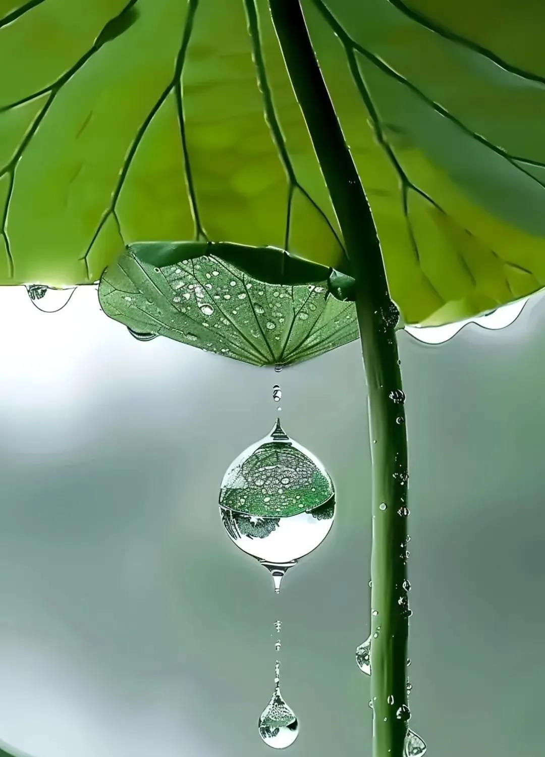 让人脊背发凉的一段话：“人活到一定年纪，才会猛然惊醒，什么枕边人暖不暖，什么儿女