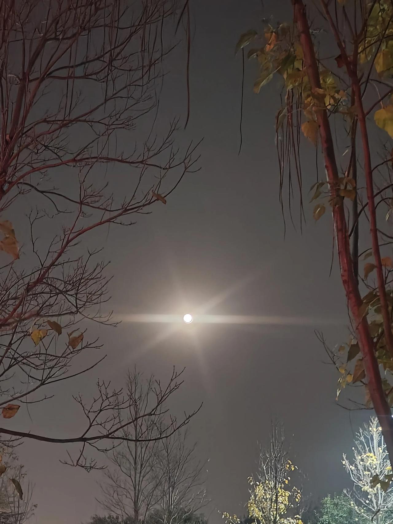 人家学校都取消期中考试了，我闺女学校为了迎接期中考试，把音体美微课都给占了看