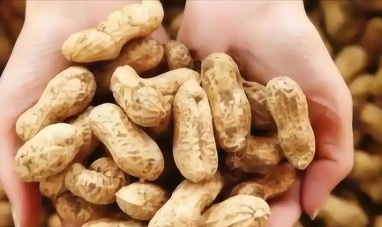 陈阿姨最近听邻居聊天，说花生是癌症患者的“催命果”，吃多了会让癌细胞跑得更快，这