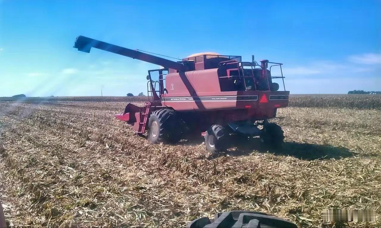 你敢卖武器给台湾，我就敢取消你的农产品进口。来自美国的消息，中国已经取消了原