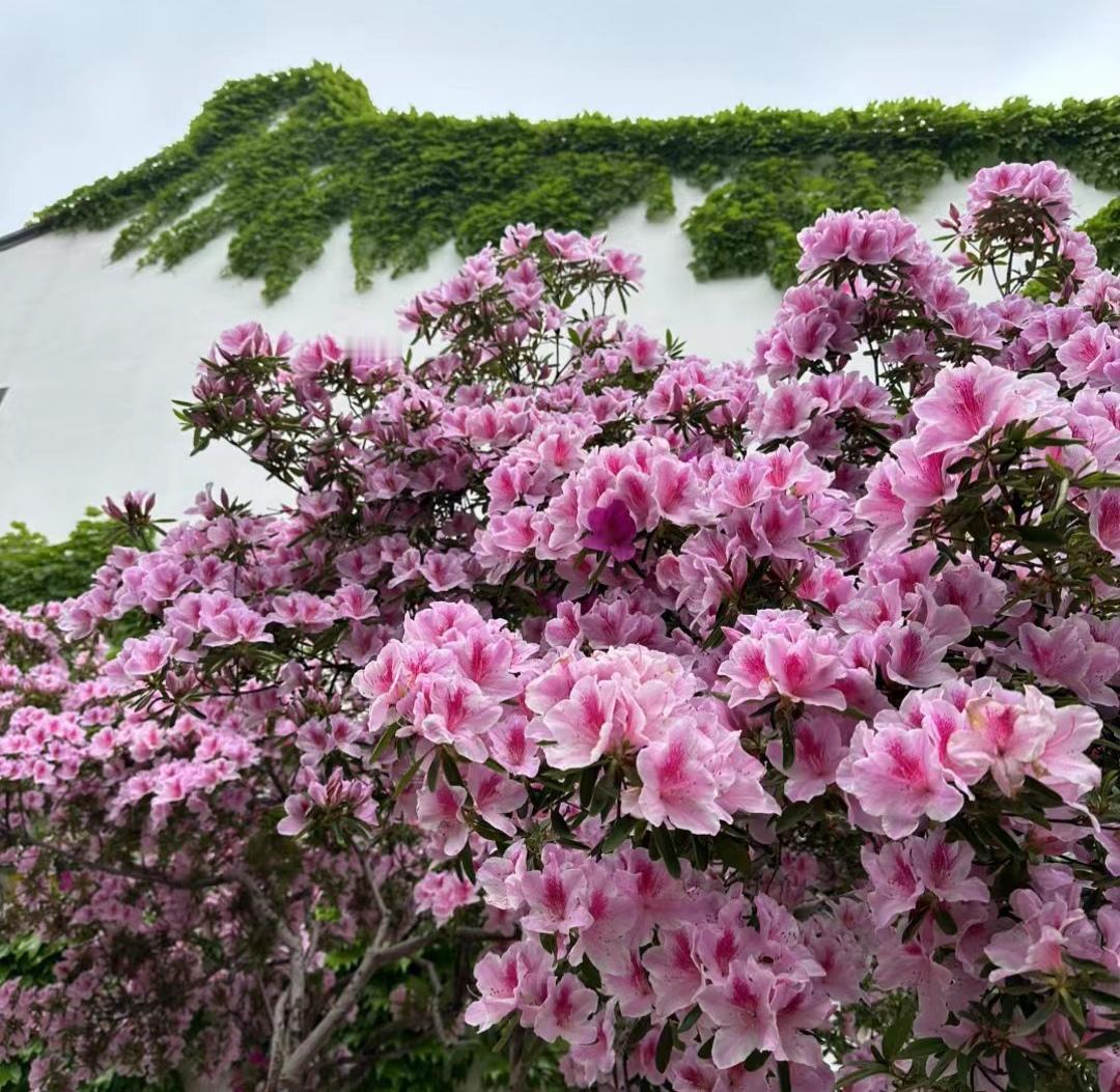 分享绝美街拍瞬间