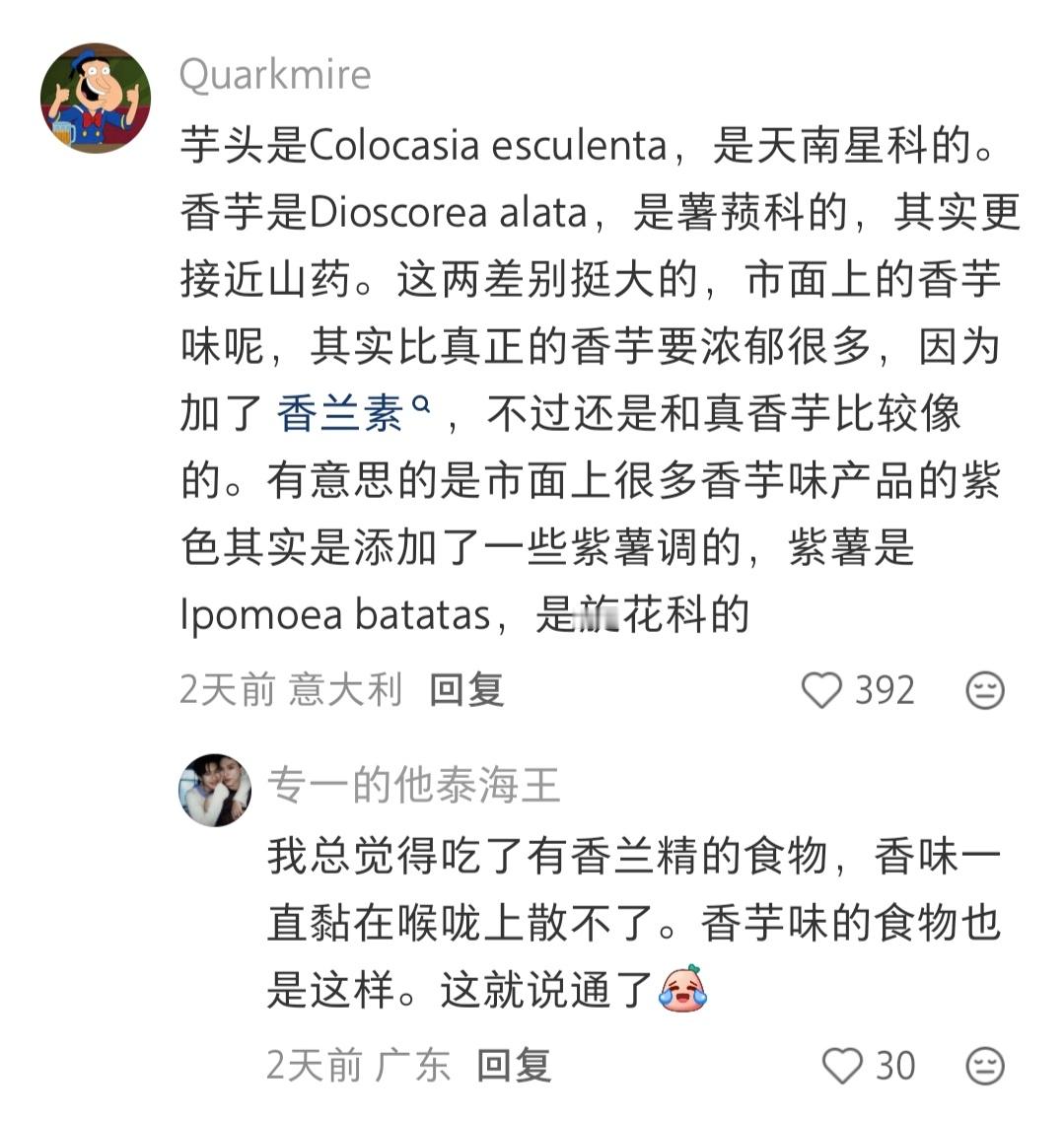 香芋味是哪来的？
